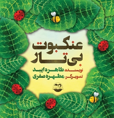عنکبوت بی تار